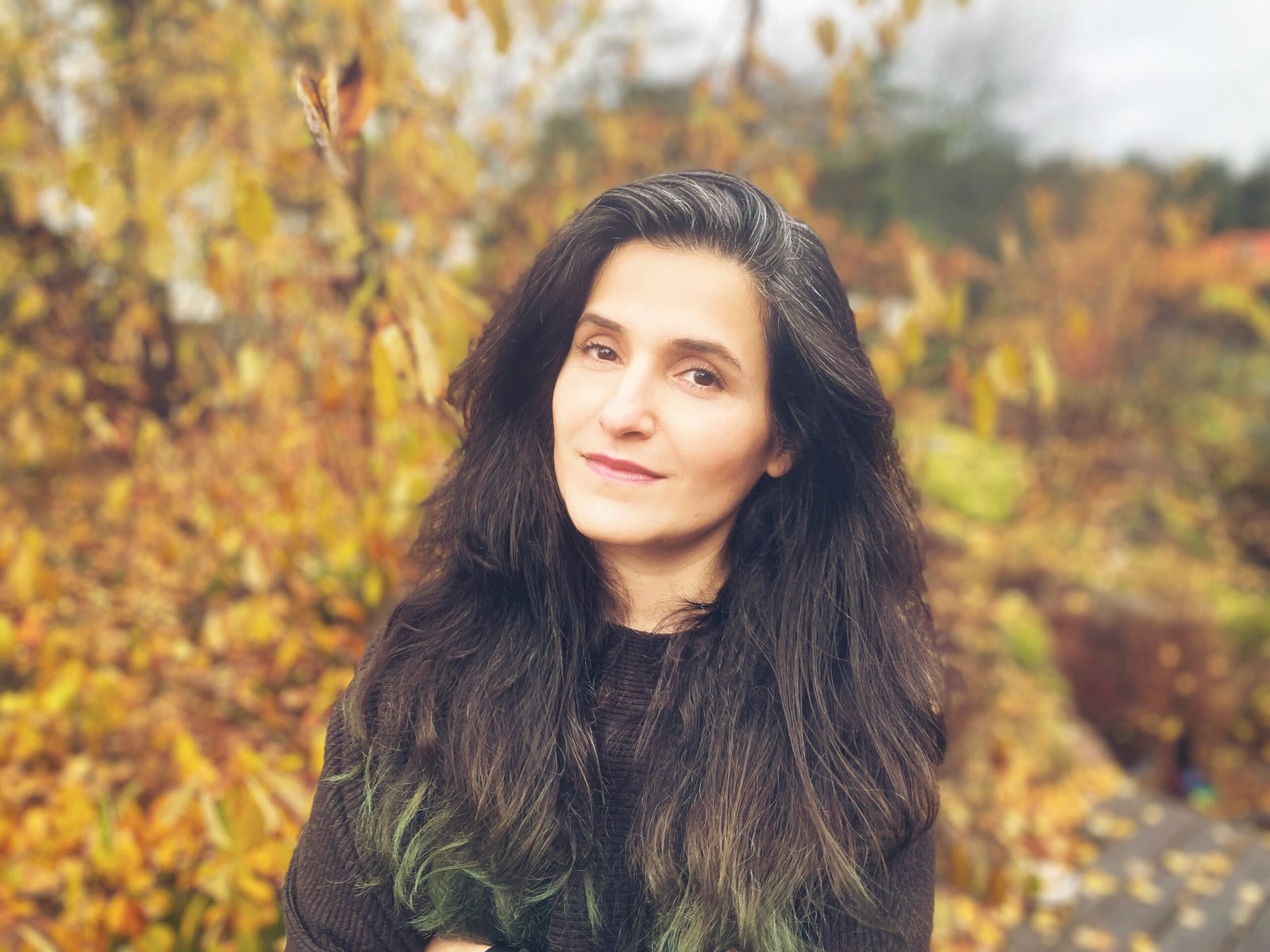 Roya Bamzar
